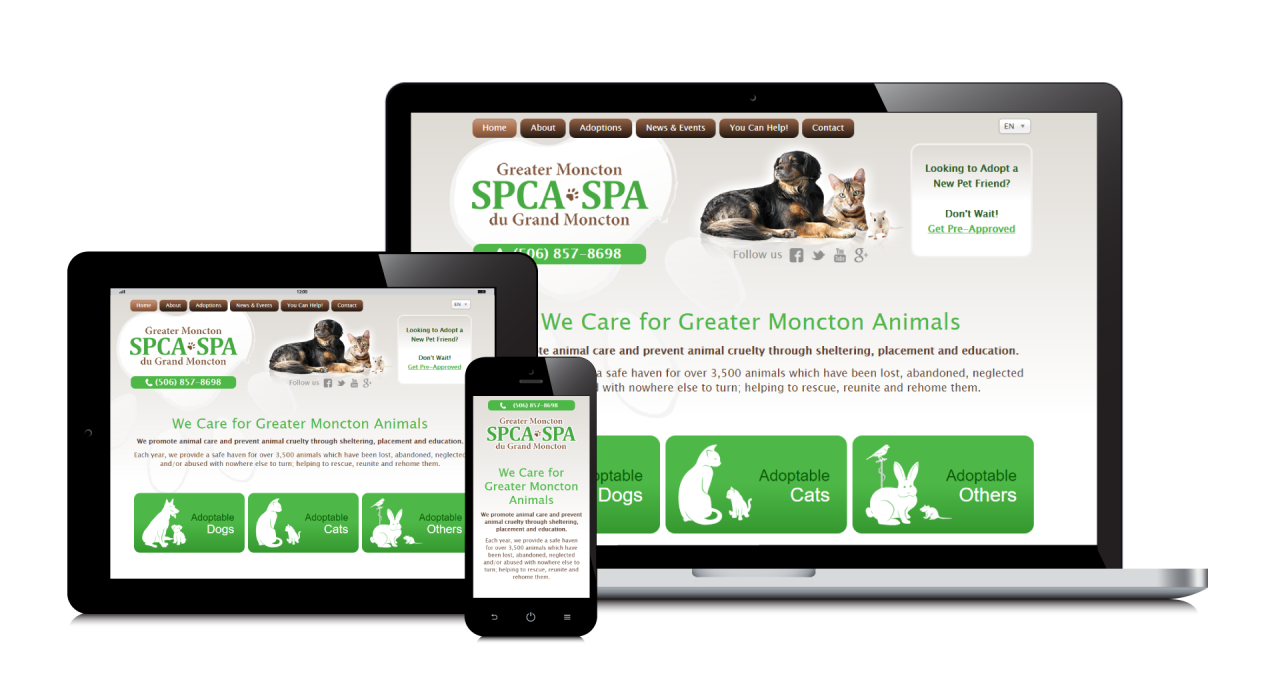 La SPA du Grand Moncton de retour avec un nouveau site Web
