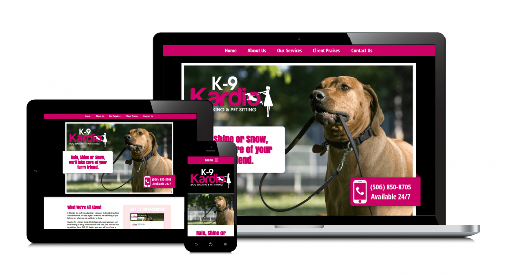 K-9 Kardio - site Web