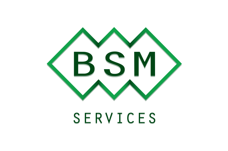 BSM Services (1998) Ltd. - Logo BSM Services (1998) Ltd. - Logo